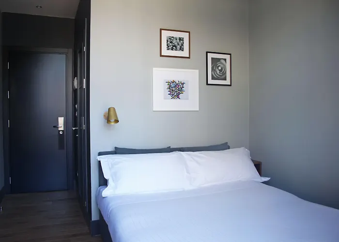 호텔 C-호텔스 조이 4*