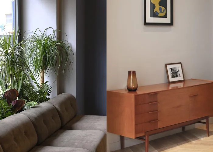 호텔 C-호텔스 조이 4*