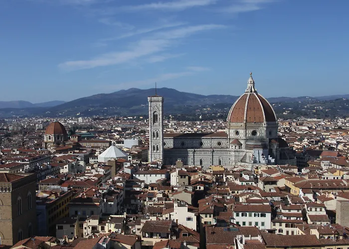 호텔 C-호텔스 조이 4*