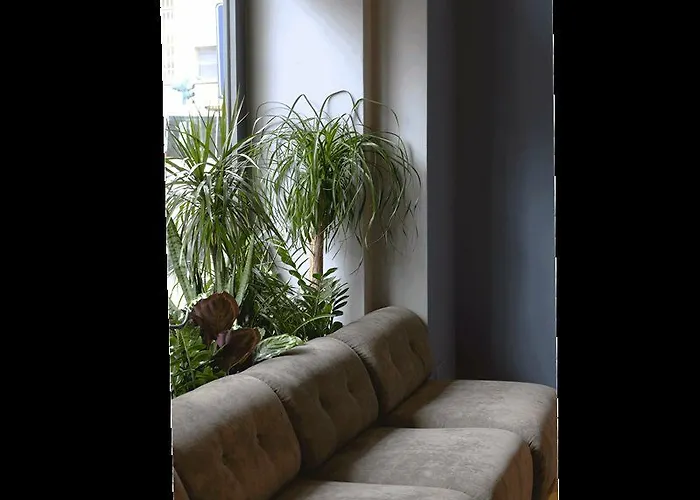 C-hotels Joy Hotel