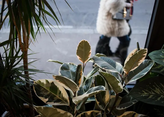 C-호텔스 조이 4*