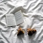 C-hotels Joy Hotel 4*
